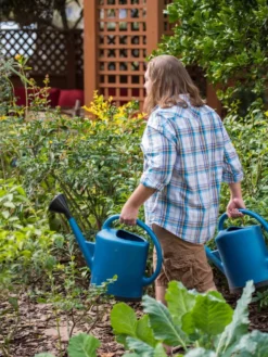 French Blue Watering Can -PlantJoy Store 06341 1390 tif