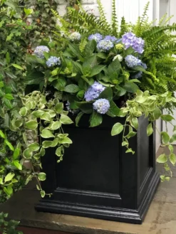 Fairfield Self-Watering Square Planter, 20” X 20” -PlantJoy Store 39 618 205V tif