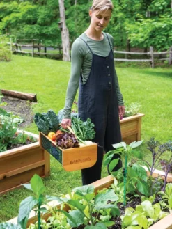 Garden Hods 9 Garden Hods -PlantJoy Store 39 761 0146 tif