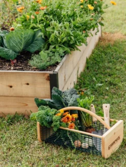 Garden Hods 8 Garden Hods -PlantJoy Store 39 761 572 tif