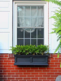 Fairfield Self-Watering Window Box, 3’ -PlantJoy Store 39344 100V tif