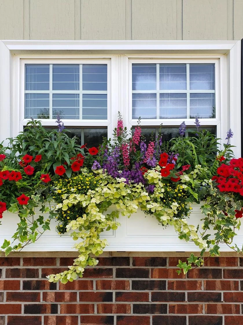 Fairfield Self-Watering Window Box, 4’ 2 Fairfield Self-Watering Window Box, 4’ - Image 2