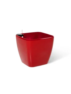 Viva Square Self-Watering Rolling Planter, 20" Diameter, Set Of 2 25 Viva Square Self-Watering Rolling Planter, 20" Diameter, Set Of 2 -PlantJoy Store 3 4 crop 8612930 0105