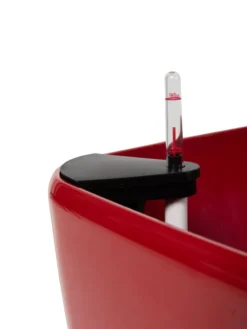 Viva Square Self-Watering Rolling Planter, 20" Diameter, Set Of 2 19 Viva Square Self-Watering Rolling Planter, 20" Diameter, Set Of 2 -PlantJoy Store 3 4 crop 8612930 0107