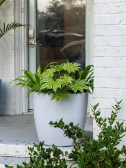 Viva Round Self-Watering Rolling Planter, 20" Diameter, Set Of 2 -PlantJoy Store 3 4 crop 8612933 0025 tif