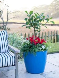 Viva Round Self-Watering Rolling Planter, 20" Diameter, Set Of 2 -PlantJoy Store 3 4 crop 8612933 5312 tif