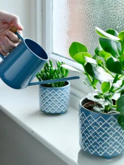 Pinpoint Indoor Watering Can -PlantJoy Store 3 4 crop 8612963 03V tif