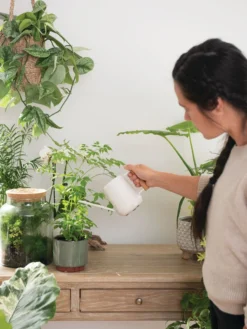 Pinpoint Indoor Watering Can -PlantJoy Store 3 4 crop 8612963 3774