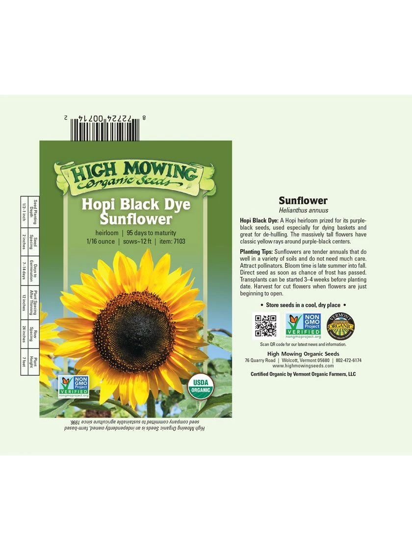 Hopi Black Dye Sunflower Organic Seeds 2 Hopi Black Dye Sunflower Organic Seeds - Image 2