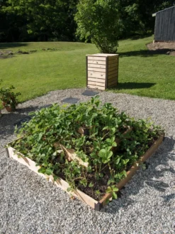 3-Tier Strawberry Bed -PlantJoy Store 8586752 2341 tif