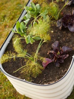 Birdies™ Modular Metal Raised Bed -PlantJoy Store 8586930 6019 tif