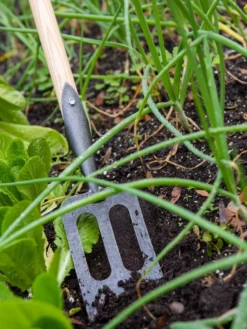 Gardener's Lifetime Spork -PlantJoy Store 8586973 2383 tif