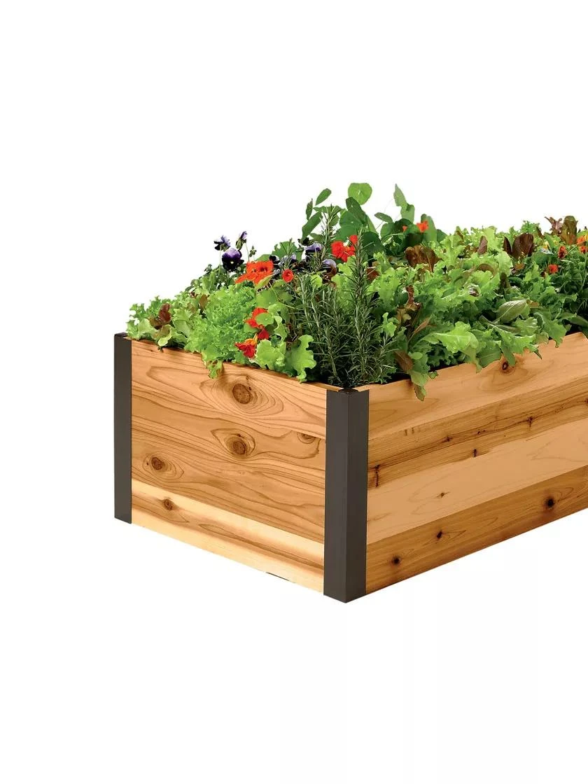 Deep Root Raised Beds, 14" Deep 2' Wide 3 Deep Root Raised Beds, 14" Deep 2' Wide - Image 3