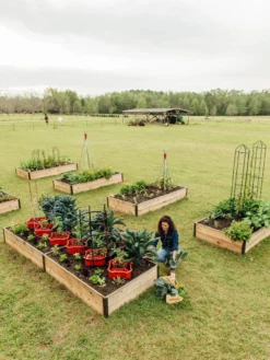 Deep Root Raised Beds, 14" Deep 4' Wide -PlantJoy Store 8587813 505 tif