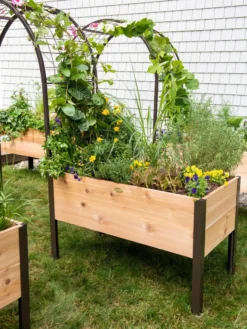 2’ X 4’ Arch Trellis For Planter Boxes 13 2’ X 4’ Arch Trellis For Planter Boxes -PlantJoy Store 8587823 0490