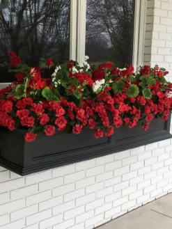 Fairfield Self-Watering Window Box, 5’ 16 Fairfield Self-Watering Window Box, 5’ -PlantJoy Store 8588938 100V tif