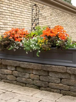 Fairfield Self-Watering Window Box, 5’ 13 Fairfield Self-Watering Window Box, 5’ -PlantJoy Store 8588938 105V tif