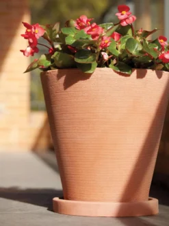 Universal Round Planter Saucers 7 Universal Round Planter Saucers -PlantJoy Store 8589526 001V tif