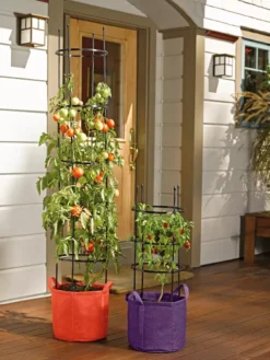 Gardener's Best® Tomato Grow Bag Set -PlantJoy Store 8590013 170 tif