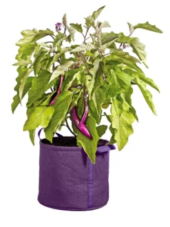 Gardener's Best® Universal Grow Bag -PlantJoy Store 8590024PR 214 tif