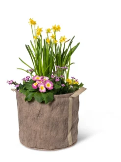 Gardener's Best® Universal Grow Bag -PlantJoy Store 8590024 7307 tif