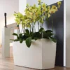 Lechuza® Cararo Rectangular Indoor Planter With Casters