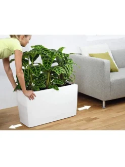 Lechuza® Cararo Rectangular Indoor Planter With Casters 8 Lechuza® Cararo Rectangular Indoor Planter With Casters -PlantJoy Store 8590295 03v