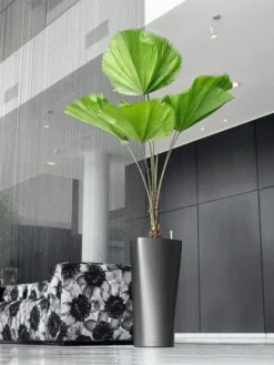 Lechuza® Delta Premium Self-Watering Planters -PlantJoy Store 8590299 02V tif