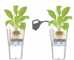 Lechuza® Delta Premium Self-Watering Planters -PlantJoy Store 8590299 07V tif