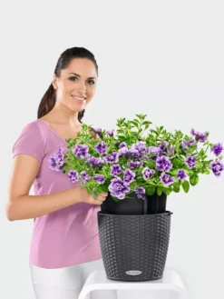 Lechuza® Nido Cottage Wicker Hanging Planter -PlantJoy Store 8591154GT 006V tif