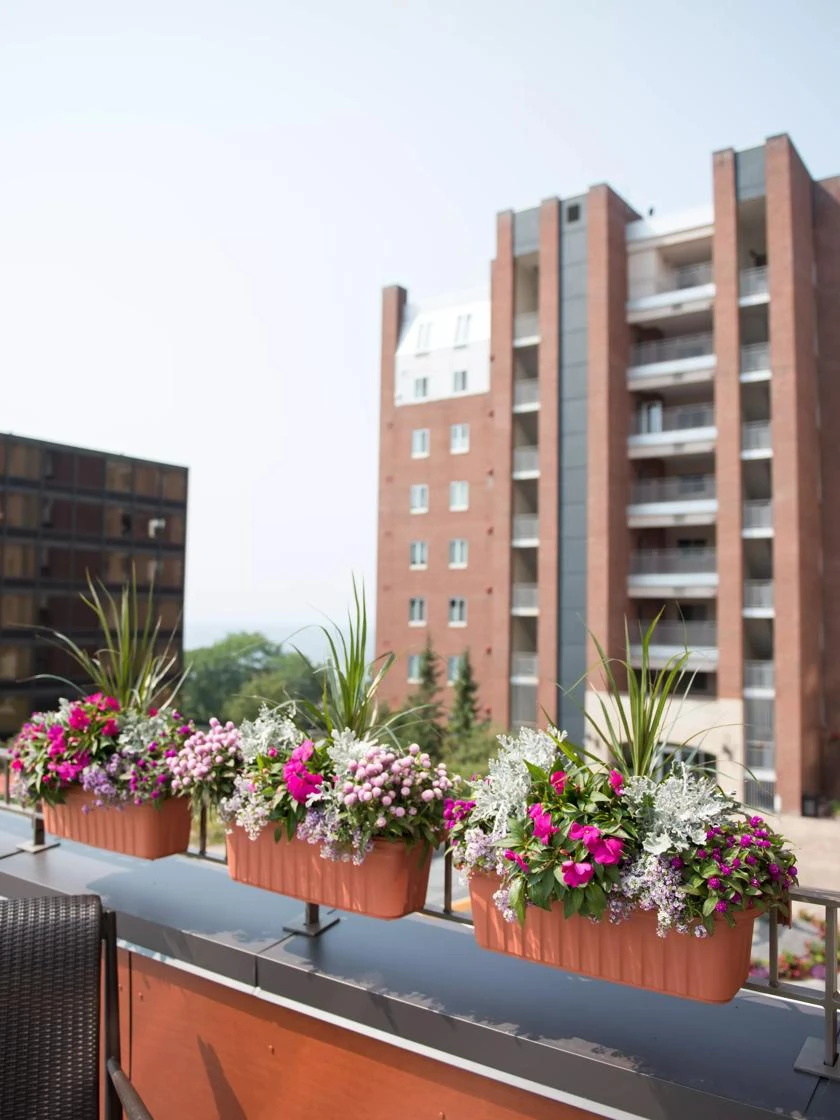 Adjustable Self-Watering Railing Planter, 24" 5 Adjustable Self-Watering Railing Planter, 24" - Image 5