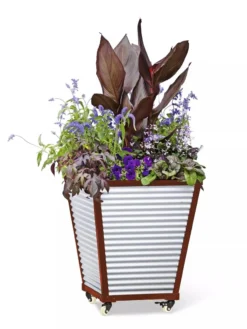 Galvanized Self-Watering Planters 8 Galvanized Self-Watering Planters -PlantJoy Store 8592177 5066 tif