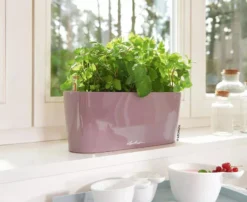 Lechuza® Delta Self-Watering Windowsill Planters -PlantJoy Store 8592361 01V tif