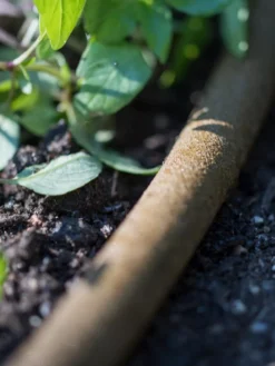 Premium 1/2" Soaker Hose -PlantJoy Store 8592730 4933 tif