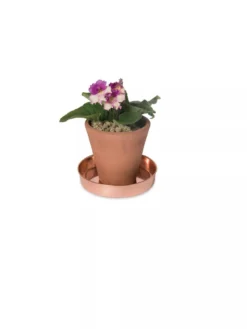 Extra Small Round Copper Plant Tray, 8" -PlantJoy Store 8593528 2922 tif