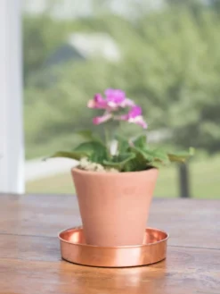 Extra Small Round Copper Plant Tray, 8" -PlantJoy Store 8593528 4522 tif