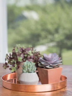 Large Round Copper Plant Tray, 14" -PlantJoy Store 8593531 4518 tif