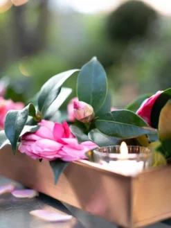 Rectangular Copper Plant Tray, 18"x4" -PlantJoy Store 8593532 02IN tif