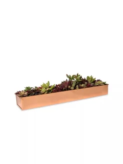 Rectangular Copper Plant Tray, 18"x4" -PlantJoy Store 8593532 2892 tif