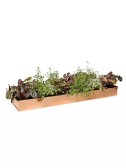 Rectangular Copper Plant Tray, 24" X 5" 9 Rectangular Copper Plant Tray, 24" X 5" -PlantJoy Store 8593533 2878 tif