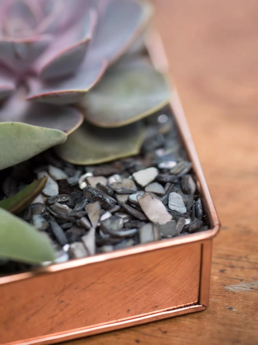 Rectangular Copper Plant Tray, 24" X 5" 4 Rectangular Copper Plant Tray, 24" X 5" - Image 4