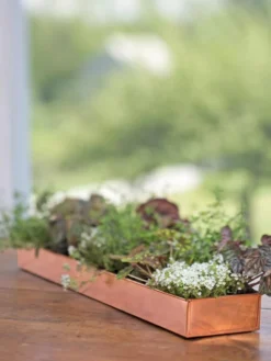Rectangular Copper Plant Tray, 24" X 5" 7 Rectangular Copper Plant Tray, 24" X 5" -PlantJoy Store 8593533 4626 tif