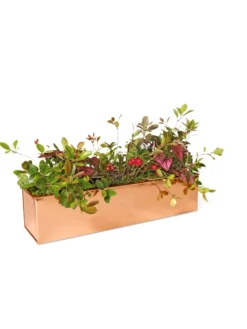 Tall Rectangular Copper Plant Tray, 18" X 5" X 4" -PlantJoy Store 8593534 2899 tif