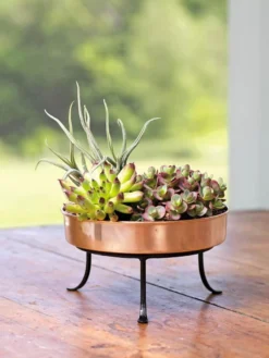 Extra Small Round Copper Plant Tray, 8" -PlantJoy Store 8593564 4641 001E tif