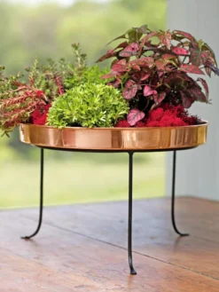 Large Round Copper Plant Tray, 14" -PlantJoy Store 8593567 4636 tif