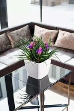 Lechuza® Quadro LS Premium Self-Watering Square Planters