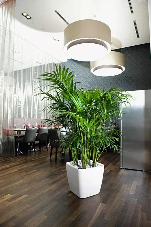 Lechuza® Quadro LS Premium Self-Watering Square Planters 2 Lechuza® Quadro LS Premium Self-Watering Square Planters - Image 2