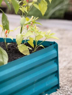 Demeter Corrugated Metal Raised Bed, 34" X 68" -PlantJoy Store 8594183 470 tif 1