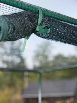 Pest-Free Garden 9 Pest-Free Garden -PlantJoy Store 8594283 0190 tif