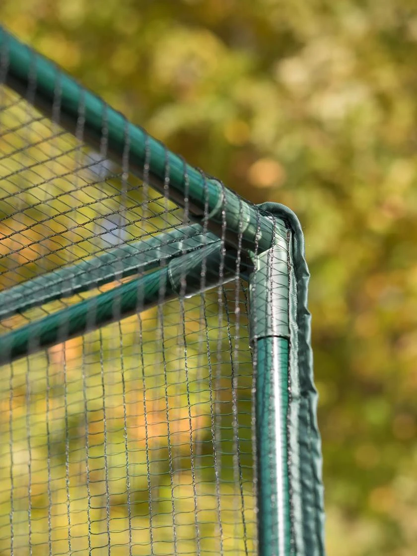 Pest-Free Garden 2 Pest-Free Garden - Image 2